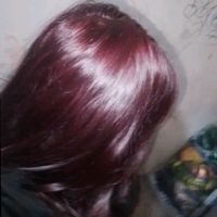 guiss22.0