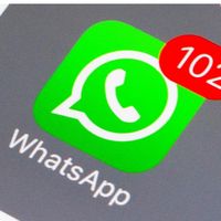 whatsapp.nebunu