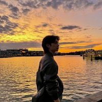 The Trotoise And The Hare