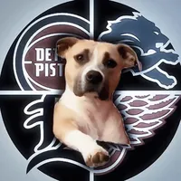 original sound - ap47cc