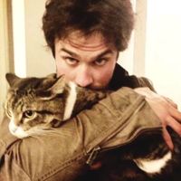 оригинальный звук