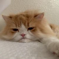 i.want.to.make.u.smile