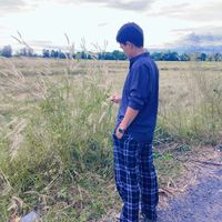 nut_m3533
