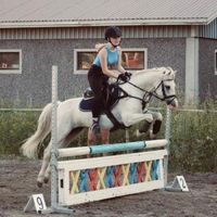 hyppypyppyhomppupomppu