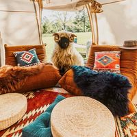 crawfordsdoubleofarm