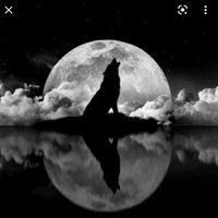 _ana_andrade1