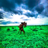 original sound - jean__escalona