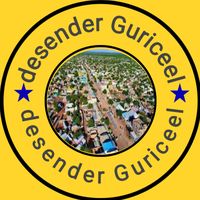 desenderguriceel
