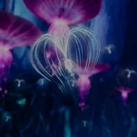 original sound - avateneyam