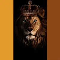 original sound - faixa_crista