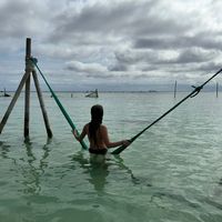 emree_reid