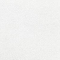 canciioness_flamencass2