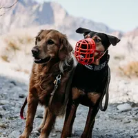 original sound - siriuslysalem