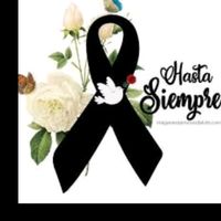 andreachoc29