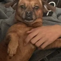 follow cythiraaa on ig