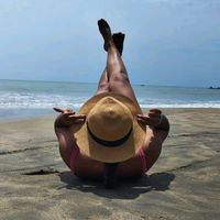 allisonnicole536