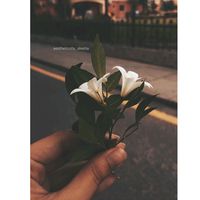 aestheticsby_me