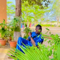 original sound - prince_sow223