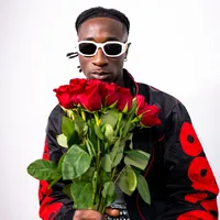 original sound - swisher3x