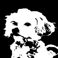 original sound - caninearmor