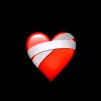 rolitas_2501