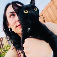 lalocadelosgatos55