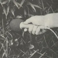 Sixty Second Commercial 1 by Michael Reynolds