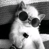 πρωτότυπος ήχος