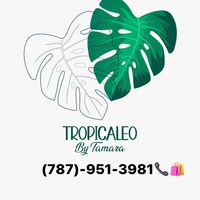 tropicaleo_bytamara
