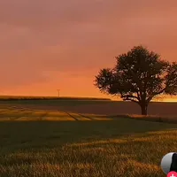 original sound - thesongsvibesbest