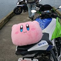 kirby6r