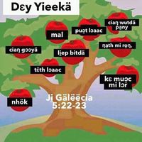 liepgoyni2