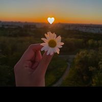 frases.motivacion8319