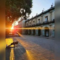 uli535garza111