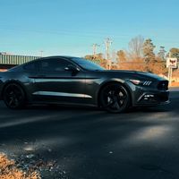 5.0logan1