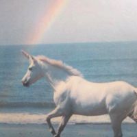 sparklyblondeunicorn