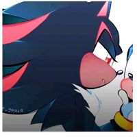 shadow_erizo7