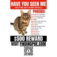 operationfindingphe