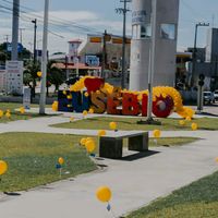 costtaa00