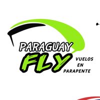 paraguayfly