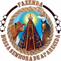 fazendansaparecida