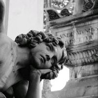 V S X A Prince Цветы