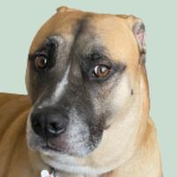 original sound - voltzvr