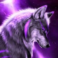 quishpi_247