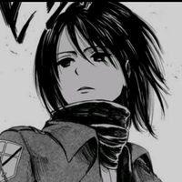 mybiasmikasa0