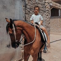 farha3721666508484