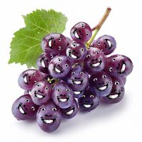 grapeswillrise