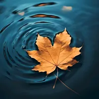 original sound - maan_writes_74