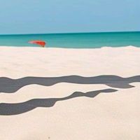 quédate Bro mucha gracia