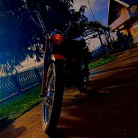 damjan203